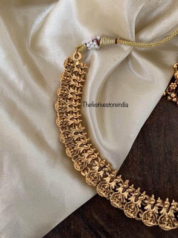 Mini lakshmi navilu set