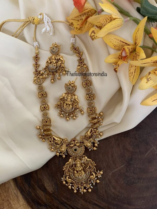 Nakshi Lakshmi Navilu set