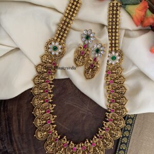 Jadau kaasu lakshmi haaram set