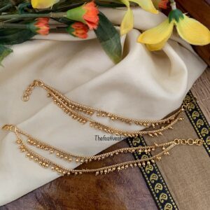 Budgeted 2 layer ear chain