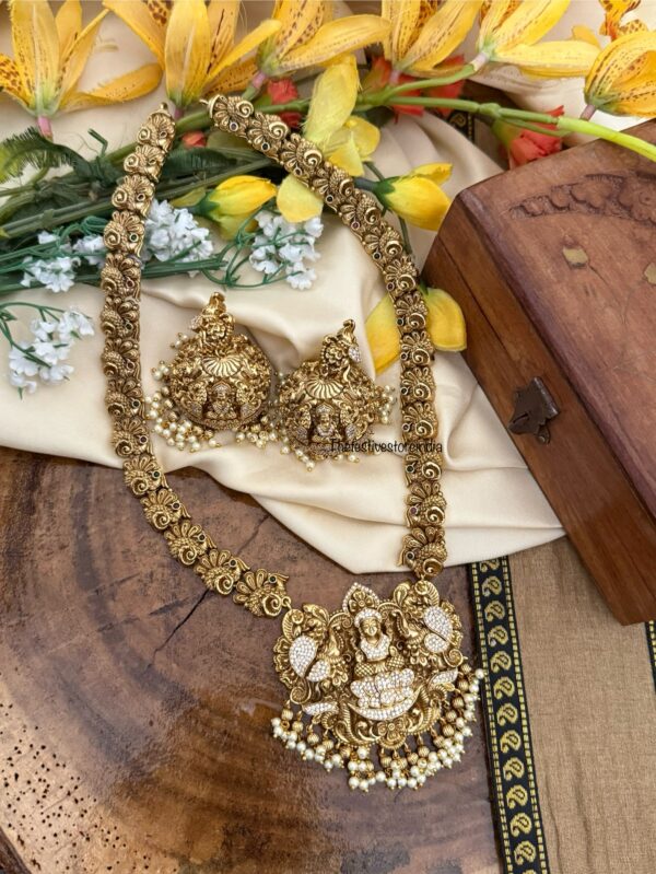 Exclusive Nakshi Lakshmi Bridal haaram set | Long chain