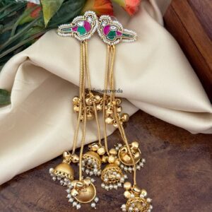 Kashmiri Parrot 14cms earrings