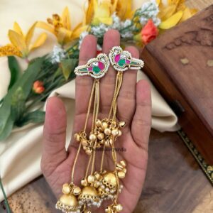 Kashmiri Parrot 14cms earrings