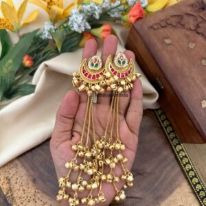 Kashmiri Chaand 14cms earrings