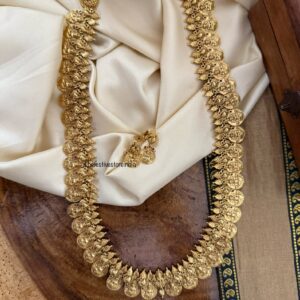 Gold look kaasu lakshmi haaram set